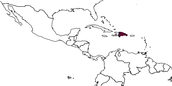 map of Pseudochalcura condylus     Heraty, 1986